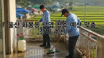울산 화봉동 낙엽 청소: 예산 맞춤 장비 추천