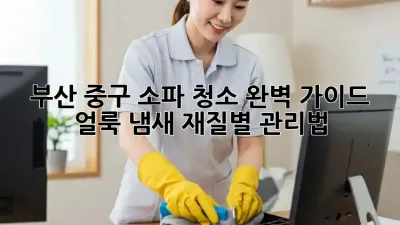 부산 중구 소파 청소 완벽 가이드: 얼룩, 냄새, 재질별 관리법